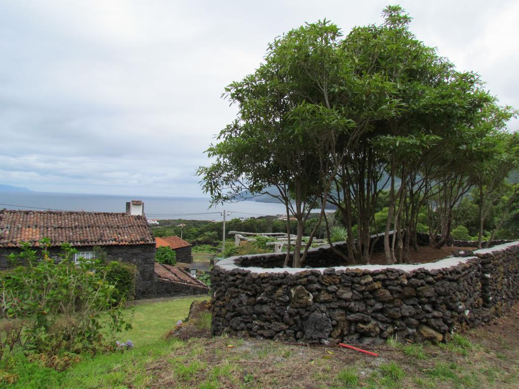 Casas De Campo Housesinpico Prainha  Bagian luar foto