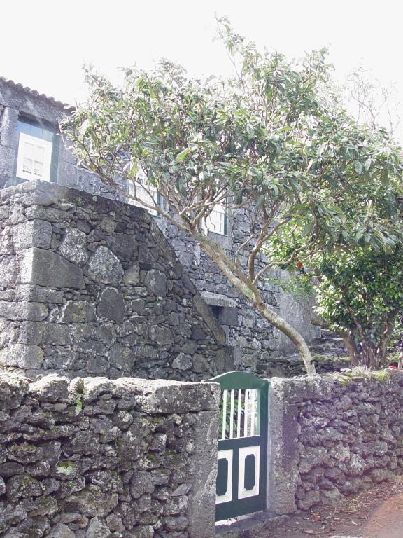 Casas De Campo Housesinpico Prainha  Bagian luar foto